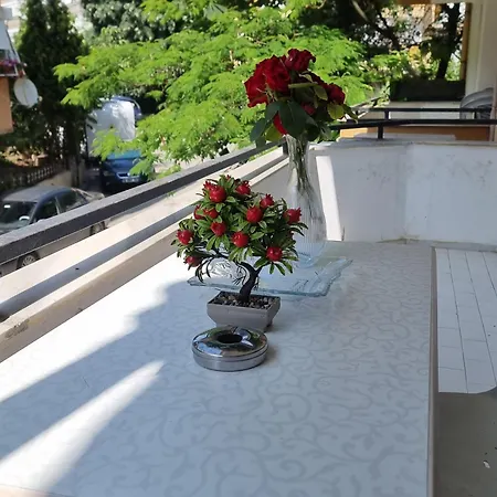 Kerimbey Apartment