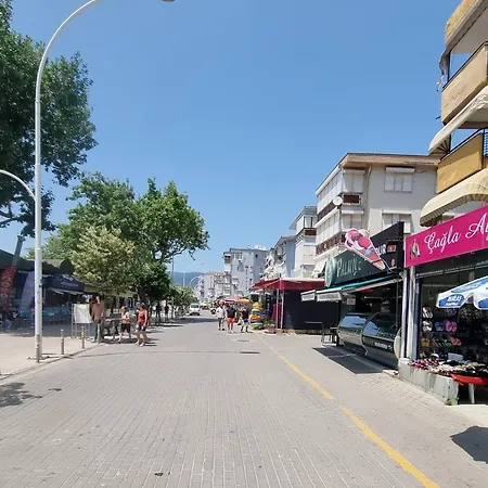 Kerimbey * Gemlik