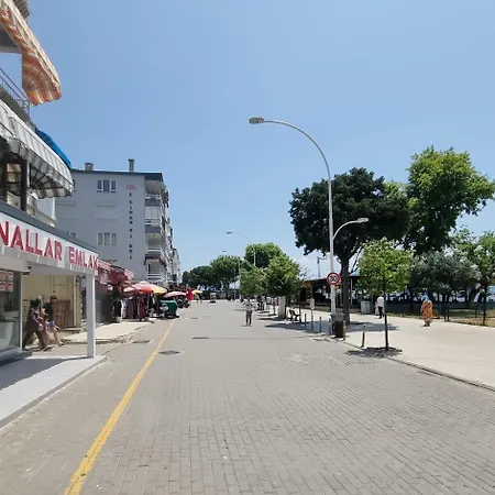 Kerimbey * Gemlik