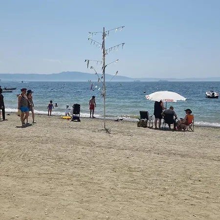 Kerimbey * Gemlik